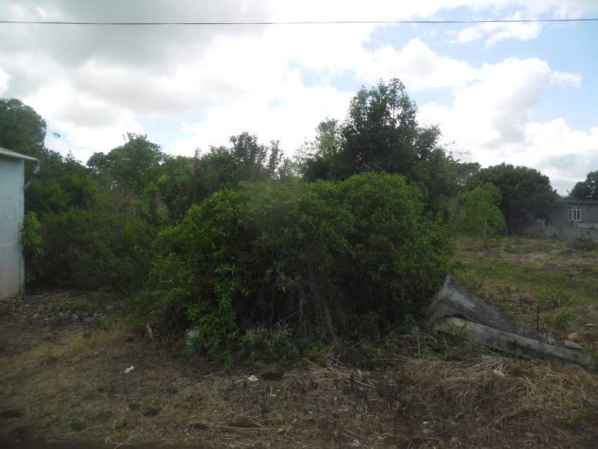 Plaines Des Papayes, Terrain Residentiel à Vendre - 3 - Land  on Aster Vender