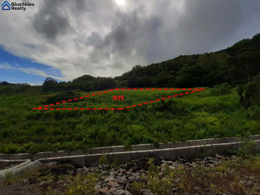 1 Arpent 1 Perche First position Verdun Motorway - 10 - Land  on Aster Vender