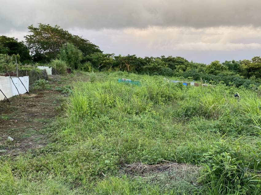 Residential land - 0 - Land  on Aster Vender